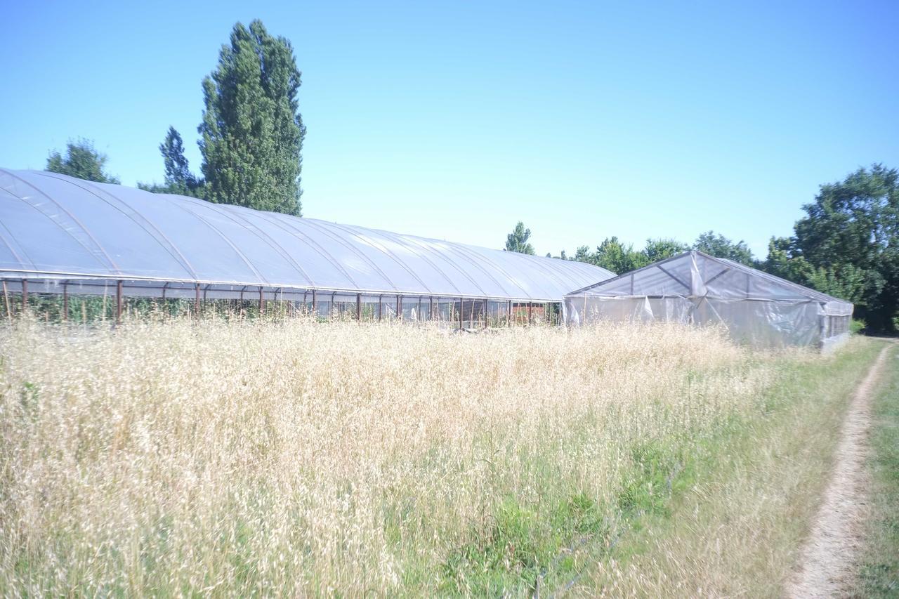 Pian Del Pigro Villa Rimini Exterior foto
